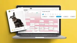 Gestion avanc&eacute;e des r&eacute;seaux sociaux | TUTORIEL METRICOOL