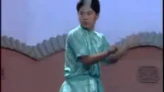 Double Chain Whip (九节鞭 马鞭链) Jiǔ ji&eacute; biān Mǎbiān li&agrave;n