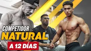 CULTURISMO NATURAL A 12 DIAS DE COMPETIR | IFBB PRO MENS PHYSIQUE MAURO FIALHO
