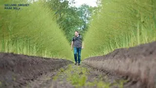 Sallandse Smaakmakers Aspergeboerderij De Boerkamp - Trailer
