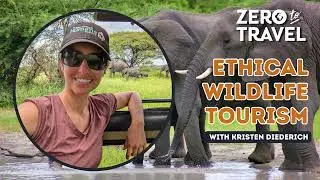 Ethical Wildlife Tourism With Kristen Diederich