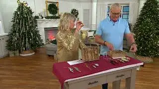 Martha Stewart Set of 6 Vintage Glass Ornament Set on QVC
