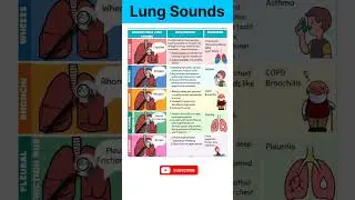 Lung Sounds in 30 Seconds  | Wheeze, Rhonchi, Crackles, Stridor & Pleural Rub Explained