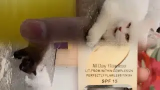 Best and affordable cat 🏠 house/colour change foundation review ❤️