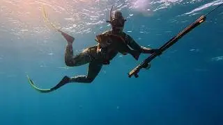 We Went Looking for Grouper… This Is What We Found