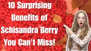Health benefits of Schisandra berry