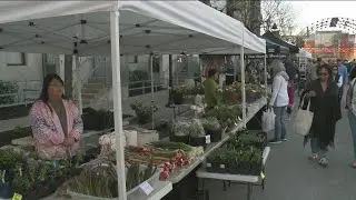 Downtown Des Moines Farmers' Market wraps up 50th season Saturday