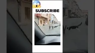 Wait for end 🥵🥵🥵 #shorts 0#shortvideo #short #song #viral #viralvideo #video #viralshorts #trending