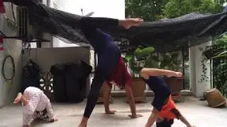 Animal Flow...Kids