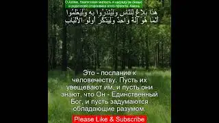 Сура Ибрагим 14:52 | Чтение Корана с русским переводом| Quran Translation Surah Ibrahim - ابراهيم &lrm;