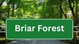 Briar Forest Dr. | Houston, Texas | Woodsy Drive | Entire Length