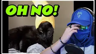 Watching EVEN BETTER Unusual Memes!