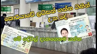 Korean driving license How to get .#trending #korea #korean