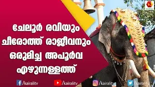 ചീരോത്ത് രാജീവിന്റെ ഉണങ്ങാത്ത മുറിവ് ഒപ്പിയെടുത്ത ക്യാമറകണ്ണുകൾ | E for Elephant | Kairali TV