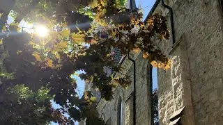 Wesley United Church | Service on Sunday, November 23rd | 