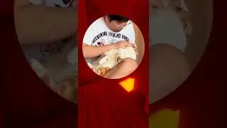 #subscribe, #newvideo, #video, #youtube, #shorts, #like, #viral, #follow, #trending, #news, #tbt.
