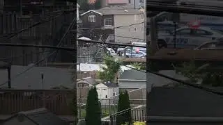 NYPD in action.