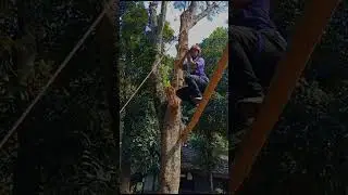 Karakter kepemimpinan#outbound#leadertraining
