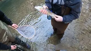 PA Wild/Holdover Brown Trout Fishing (Multi-Day Video)