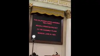 Assembly Member Marie Waldron honors Beagle Freedom Project