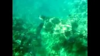 MOV09328