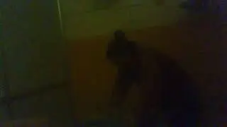 高黑珍珠8