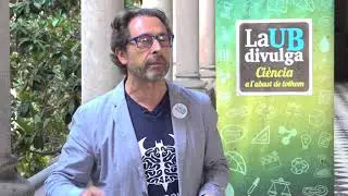 Observar la complexitat del cervell a trav&eacute;s de les seves connexions