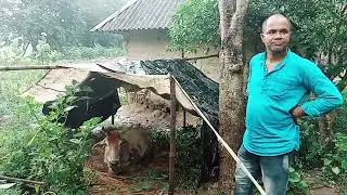 food poisoning treatment। food poisoning symptoms ।foodborne illness