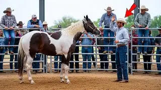 An Arrogant Millionaire Mocked an Auction Horse—The Animal’s Reaction Left Everyone Stunned