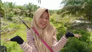 CEWEK LIAR | BERANI MANCING DIHUTAN