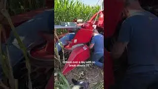 Today on the farm harvesting issues #farming #farmlife #harvestor