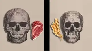 Как сделать &laquo;Skullmaxx&raquo;