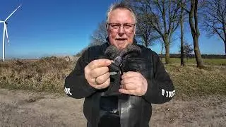 1000 Abonnenten Special