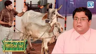 चिड़ियाघर में गाय क्यों लेकर आया Gothak ? | Chidiyaghar | चिड़ियाघर | Full Episode 181