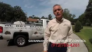 How to Prevent Bed Bugs-Savannah Termite and Pest Control