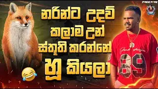 🔴කොහොමද Return එක?