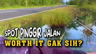 Mancing Santai di Pinggir Jalan, Ternyata Seru Juga!