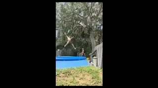 Spit Vicious Song +John and Kool Rope Swings Into Pool Video!