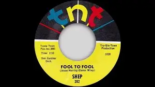 Shep - Fool To Fool - TNT (NORTHERN SOUL and R&B)