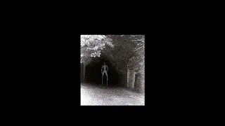Округ Малберри (хоррор в Roblox)