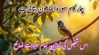 ایسی سورہ جو 24 گھنٹے کی زندگی کا ہمیں آ ئینہ دکھاتی ہے |اللہ اکبر |🕋
