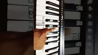 Finger positions for Indian Classical music #piano #easy