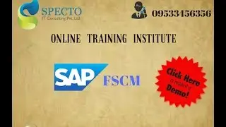 Best Online SAP FSCM Module Course Training Institute in India