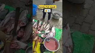 Sunday fish market #fishcurry #fishfry #fishmarket #mandi #sunday #food #streetfood