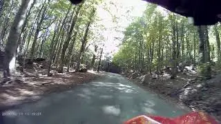 Foresta Monte Penna - Ottobre 2021