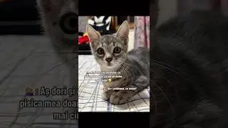 Pentru comenzi, vă aștept pe Instagram 🧡 #cadou #cadouri #viral #funny #trend