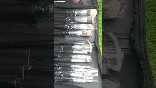 SWISS BEAUTY PROFESSIONAL SERIES MAKEUP BRUSHES 12 PCS SET REVIEW #shorts #ashortaday #ytshorts