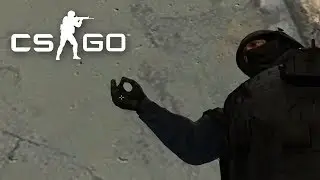 French Shuffle?! | Daily CSGO Videos
