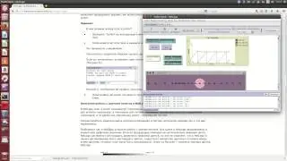 Агентное моделирование. Обучение NetLogo. Работа №4