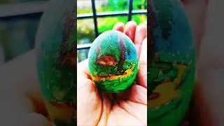Painting on eggshell | how to paint on eggshell #art #egg #eggshell #paintingtutorial